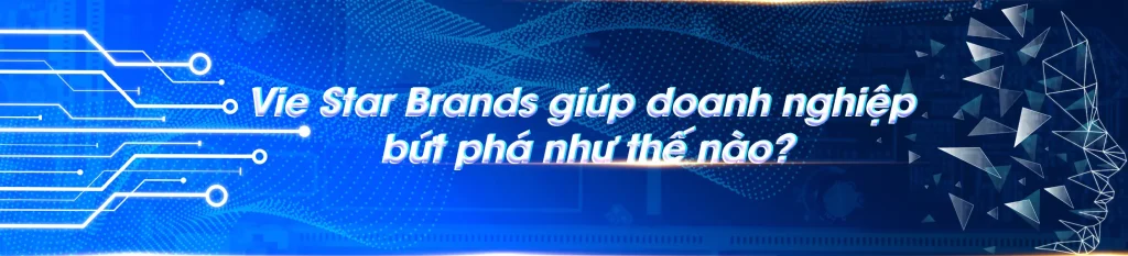 Vie Star Brands giúp doanh nghiệp bứt phá tăng trưởng vượt trội với chiến lược marketing sáng tạo và hiệu quả.