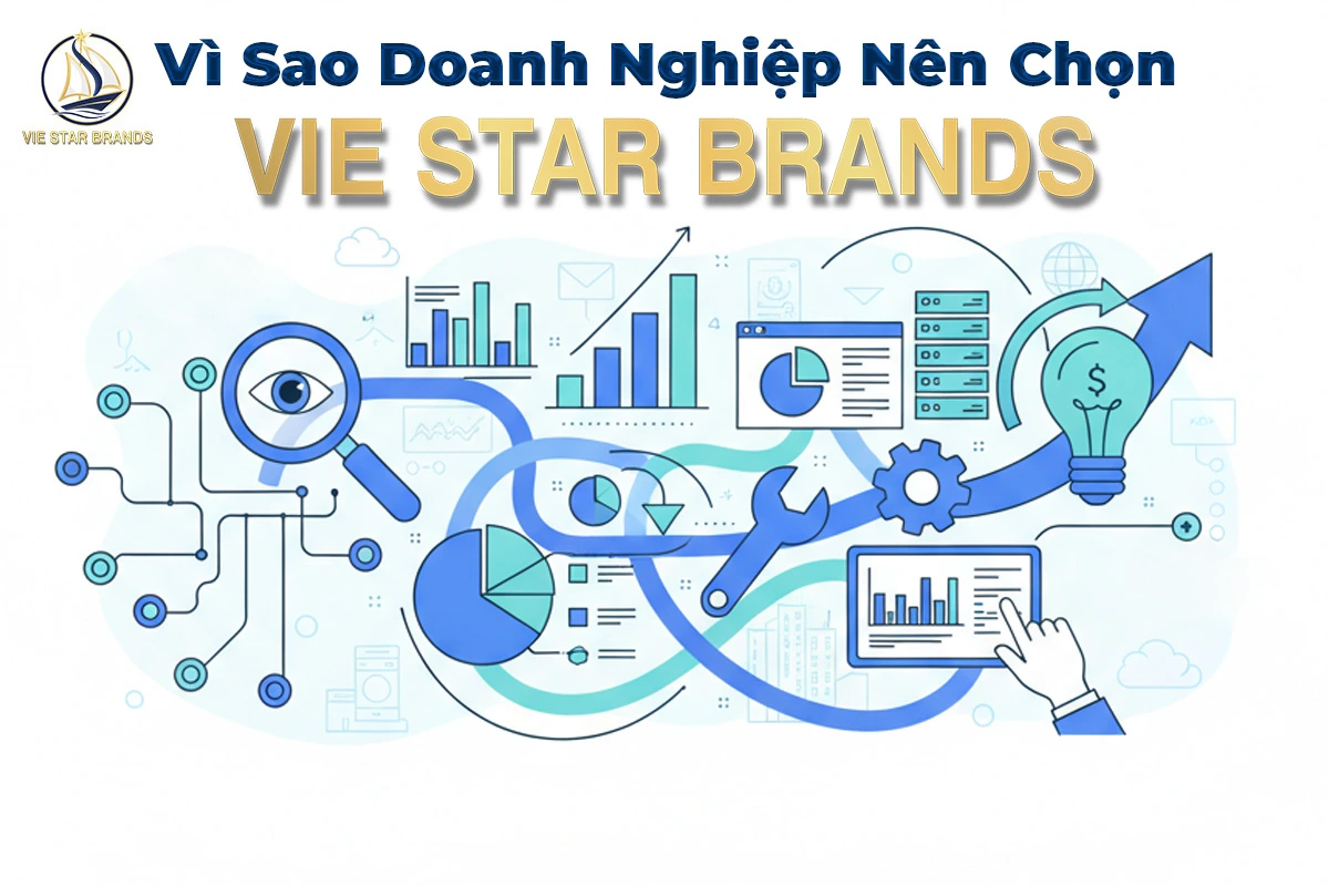 Vì Sao Doanh Nghiệp Nên Chọn Vie Star Brands?